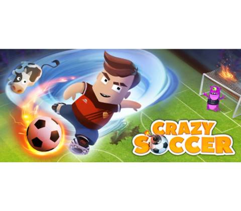 Crazy Soccer