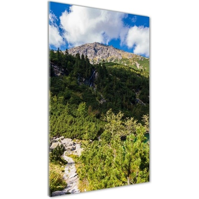 Vertikálny foto obraz sklenený Morské oko Tatry 50x100 cm