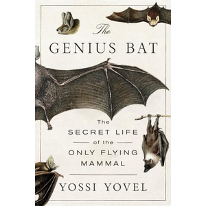 The Genius Bat (ISBN: 9781250378446)