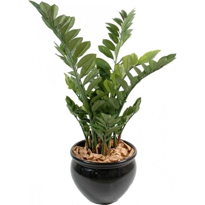 Umělá květina Zamiifolia - Zamioculcas, 90cm