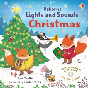 Lights and Sounds Christmas (ISBN: 9781801318167)
