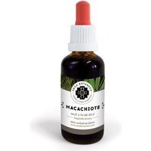 Inca Botanica MACACHIOTE muž v plné síle 50 ml