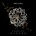 SILENT SKIES - NECTAR CD