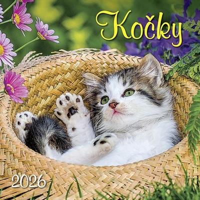 Kočky nástěnný 2026