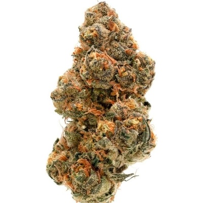 Growers Choice Wedding Cake x Frosty Gelato Double XL AUTO semena neobsahují THC 3 ks