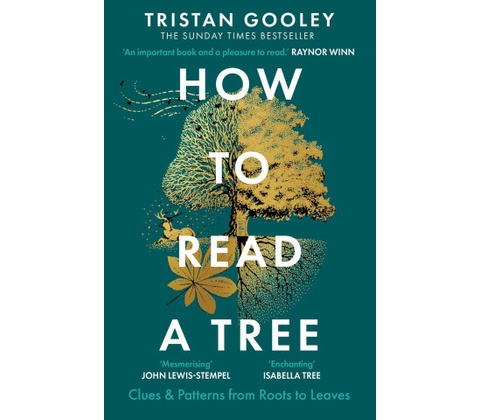 How To Read A Tree