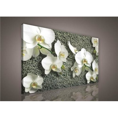 Obraz na plátne, rozmer 100 x 75 cm, biela orchidea na kameni, IMPOL TRADE PP413O1