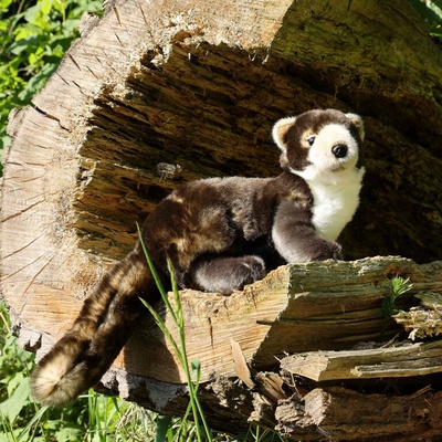 Eco-Friendly Rappa kuna 25 cm – Hledejceny.cz