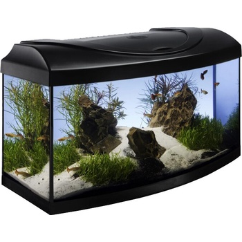 Diversa Startup 60 AP LED Expert 10W 54 l