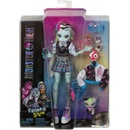 Mattel Bábika Monster High FRANKIE STEIN