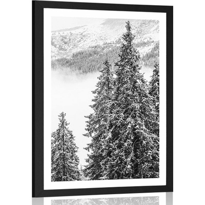 Plakát s paspartou zasněžené borové stromy v černobílém provedení - 60x90 no frame