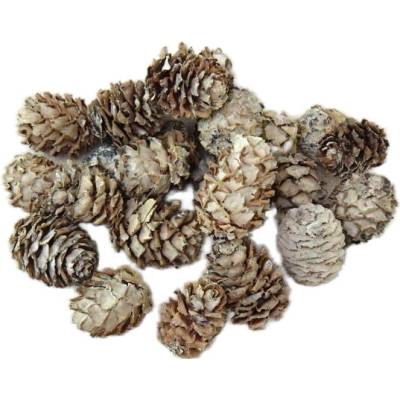 Salignum bělené, cena za 200g