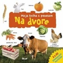 Pexeso – Na dvore