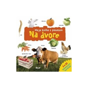 Pexeso – Na dvore