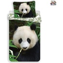 Jerry Fabrics Povlečení Panda bavlna 140x200 70x90