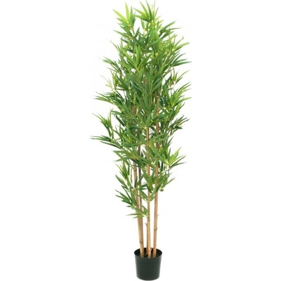 Europalms Bambus deluxe, 150cm