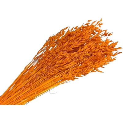 Sušený aranžérsky ovos - klasy 150g - svetlé oranžové