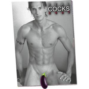 ORION Pin-up Calendar Real Cocks 2027