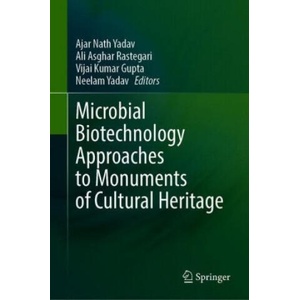 Microbial Biotechnology Approaches to Monuments of Cultural Heritage | Ajar Nath Yadav, Ali Asghar Rastegari, Vijai Kumar Gupta, Neelam Yadav (2020)