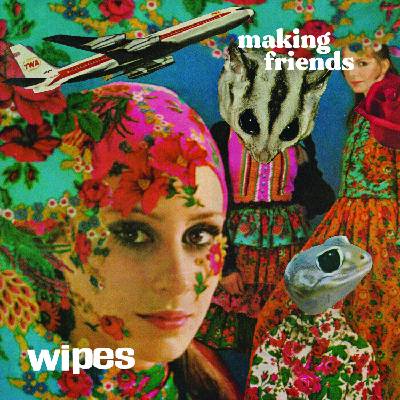 Wipes - Making Friends (LP) (0760137113263)