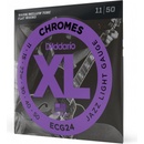 DAddario ECG24