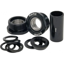 Salt Plus Echo Euro BMX