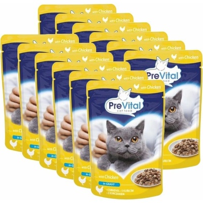 PreVital Cat kura v omáčke 12 x 100 g