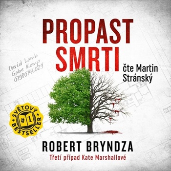 Propast smrti - 3 - Robert Bryndza