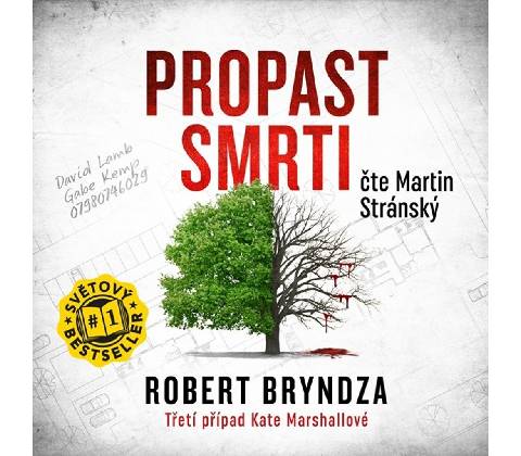 Propast smrti - 3 - Robert Bryndza
