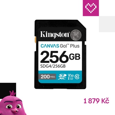 Kingston SDXC 256GB Canvas Go Plus SDG4/256GB