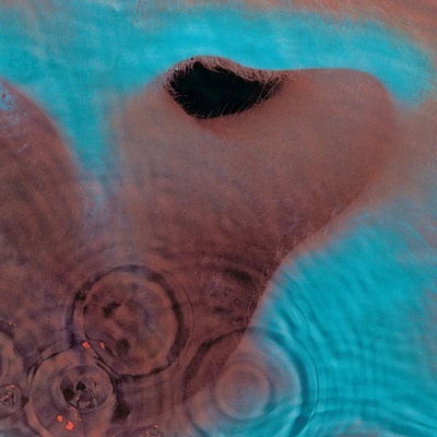 Meddle - Pink Floyd CD