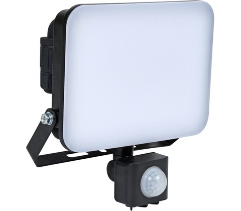 Ecolite RFL02-30W/PIR