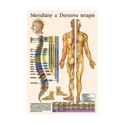 Mapa - Meridiány a dornova terapie