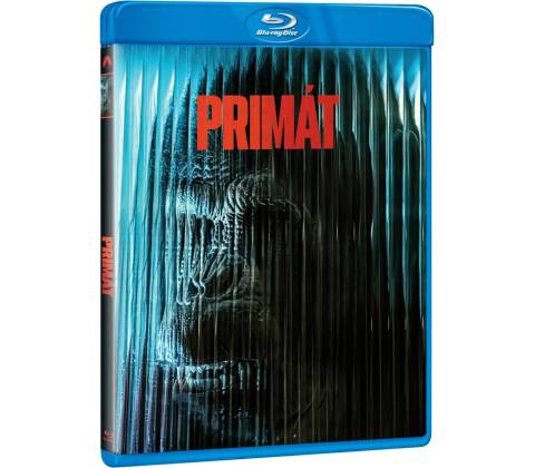 Primát BD