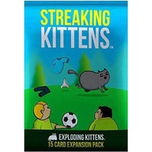 Mathew Inman Exploding Kittens Streaking Kittens