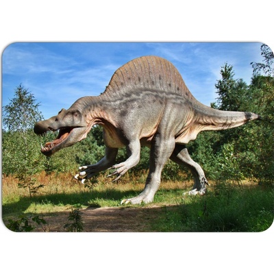 PokojovaDekorace.cz prostírání 038 Dinosaurus 43x30cm