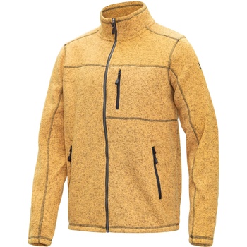 BRILLE Полар Adam