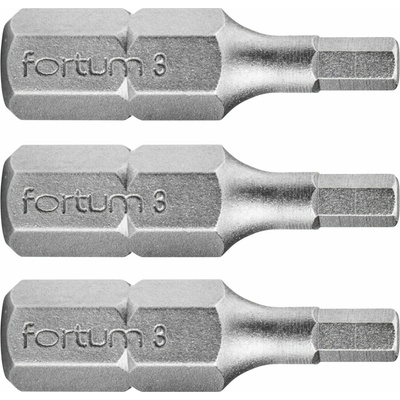 Fortum H3x25 mm 3 ks 4741504