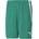 PUMA Team liga shorts l