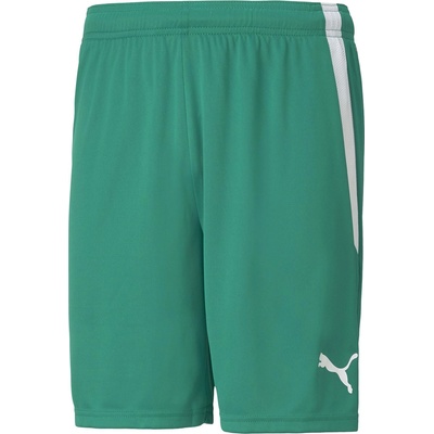 PUMA Team liga shorts l
