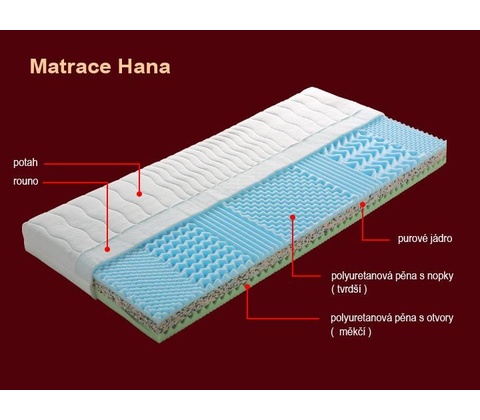 Dřevočal Hana