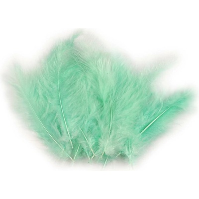 Pštrosí peří délka 9-16 cm mint