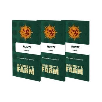 Barney's Farm Runtz semena neobsahují THC 1 ks