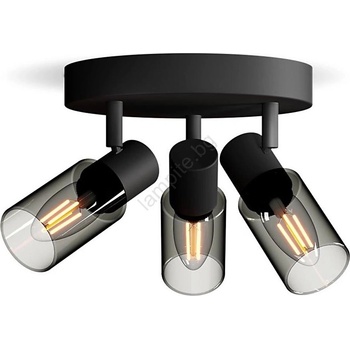 Philips Palms 929004105401