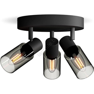 Philips Palms 929004105401