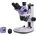MAGUS Stereo D7T PLUS (85278)