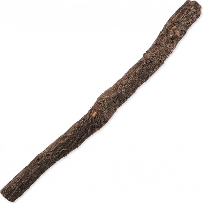 Repti Planet Korková větev L 60-90 cm – Zboží Dáma