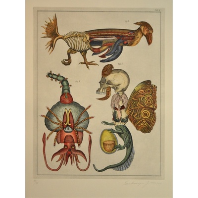 Jan Švankmajer, Z cyklu Přírodopis Tabulka č. 8