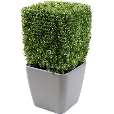 Umělý strom Buxus Edge New, 65cm