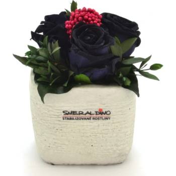 Ina LIGHT Black - černá (3x stabilizovaná "věčná" růže v betonovém květináčku)